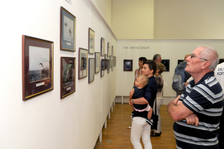 XXX. MAFOSZ Szalon Cegléden