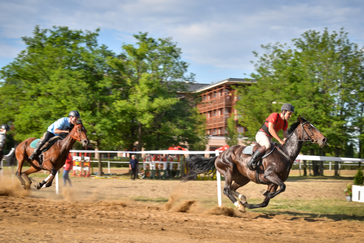 III. Ceglédi Vágta