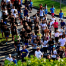 Megyei futó- és gyalogló nap