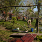 Éhmann Ferenc Emlék Kupa