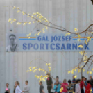 ,,Megyénk körül - megyünk körül''