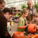 Családi tökfaragás - Oázis Kertészeti Áruház