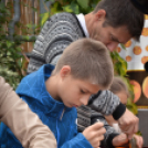 Családi tökfaragás az Oázis Kertészetben