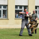 Honvédelmi napot tartottak a Mezgázban