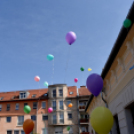 Magyar költészet napja