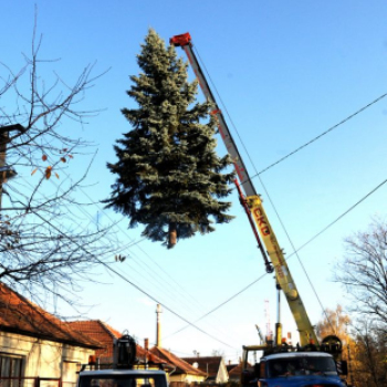 A város karácsonyfája