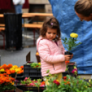 Régi idők piacztere - fotó: Kisfaludi István