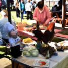 Virágvásár és főzőfesztivál Csemőben