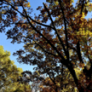 Ceglédi Bababörze a Gál József Sportcsarnokban.