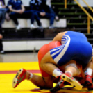 NB I-es birkózó csapatbajnokság -A- csoport