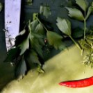 Virágvásár és főzőfesztivál Csemőben