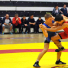 NB I-es birkózó csapatbajnokság -A- csoport