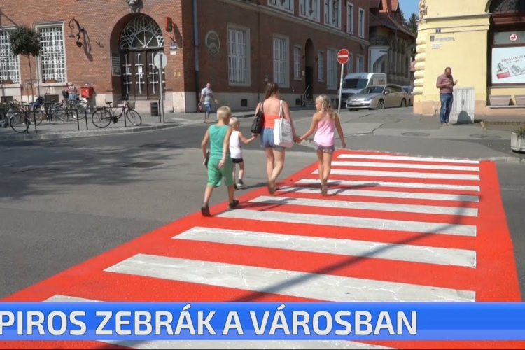 Figyelemfelkeltő zebrák a városban