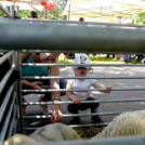 Pöttyös gyermeknap 2019