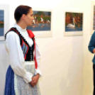 A Duna-Delta Szárazföldi- és Vízi Madárvilága