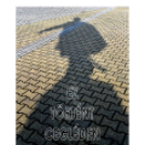 Ez történt Cegléden 2016