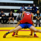 NB I-es birkózó csapatbajnokság -A- csoport