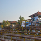 Bor és laskafesztivál - I