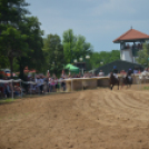 Bor és laskafesztivál - II