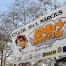 Arany Oroszlán Sport- és Egészségnap Cegléden