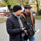 Megérkezett a város karácsonyfája