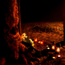 In memoriam november 4.