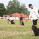 IX. Bor és Laskafesztivál - IV. Ceglédi Vágta