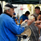 XXII. Toborzó Ünnepély és Huszárfesztivál - I.