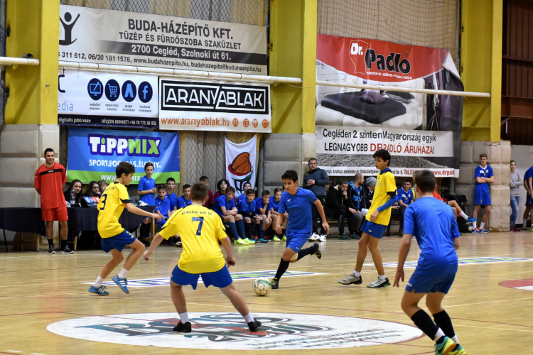 Jótékonysági Sport Nap