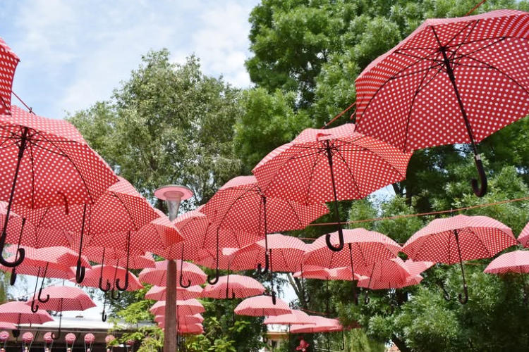 Közútkezelői tájékoztatás - ”Pöttyös Gyermeknap”