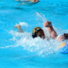 Miami vízilabdások Cegléden