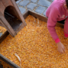 Régi idők piacztere