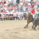 IX. Bor és Laskafesztivál - IV. Ceglédi Vágta