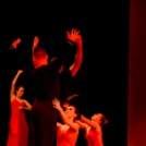 Tánc világnapja Cegléden