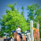 II. Ceglédi Vágta - kísérő rendezvények