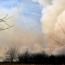 Száraz növényzet égett