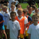 CVSE foci éremosztó