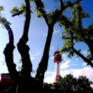 Telefonfotók - Ceglédi hangulatok