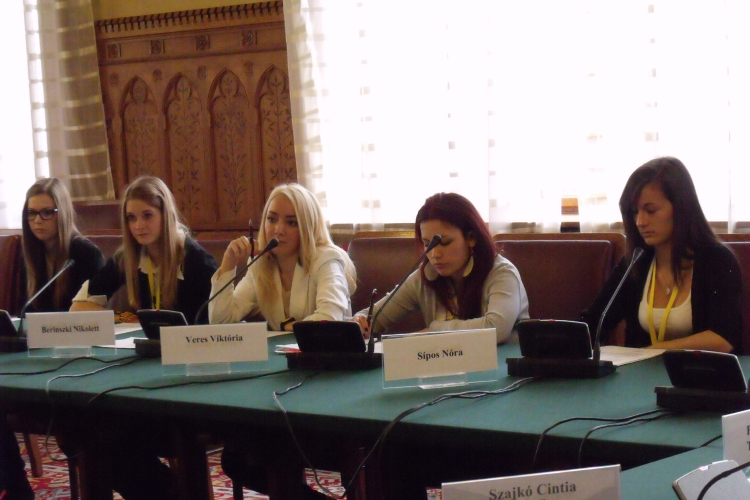 Demokráciajáték a parlamentben