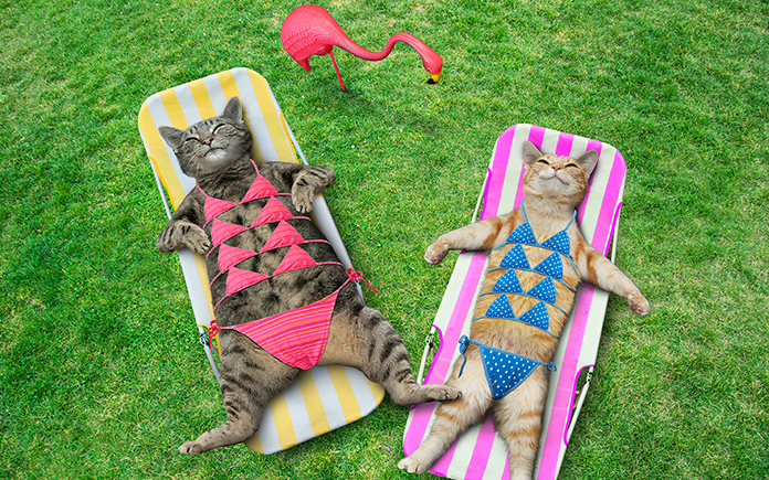 Jön vissza a meleg, mutatjuk mikor