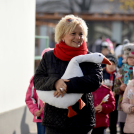 Márton napi felvonulás