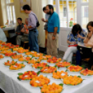 Kajszibarack tanácskozás a Gyümölcskutatóban