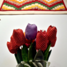 Folton-Folt Klub jubileumi kiállítása