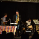 Múzeumok éjszakája Cegléden