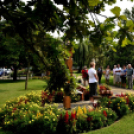 Együttműködésbe kezdett a csemői Marosi Faiskola és a Nemzeti Agrárkutatási és Innovációs Központ