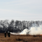 Száraz növényzet égett