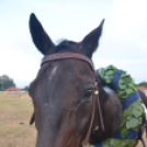 Bor és laskafesztivál - II