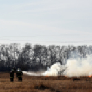 Száraz növényzet égett