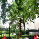 A Nemzeti Összetartozás Napja Cegléden