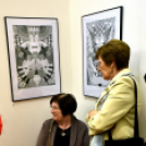 Megérzések képekben